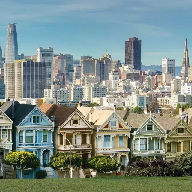 Os piqueniques sentam-se na grama do Alamo Square Park com as 画现在 e o horizonte 来自贝博体彩app ao fundo.